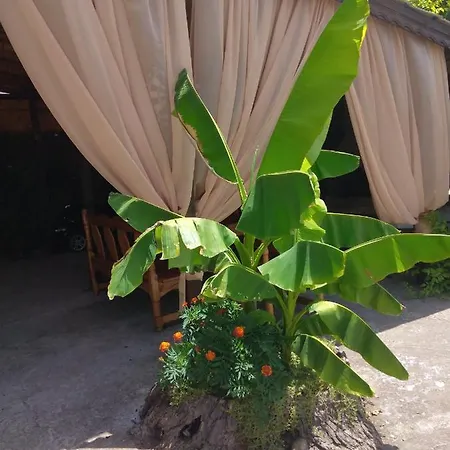 за гости маги Homestay *