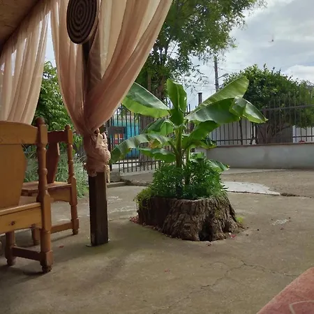 за гости маги Séjour chez l'habitant *