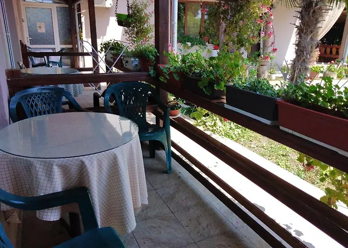 Проживание в семье за гости маги