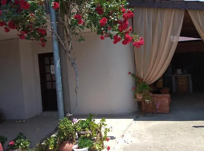 за гости маги Проживание в семье *