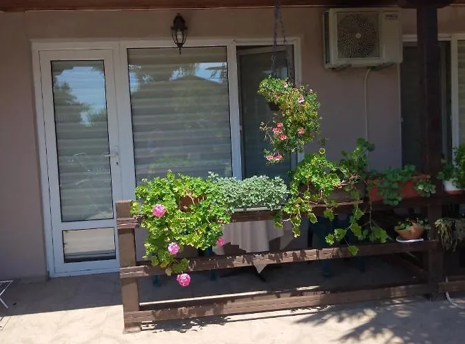 за гости маги *