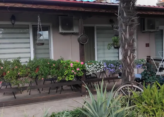 за гости маги Проживание в семье *