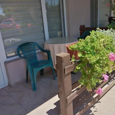 за гости маги *