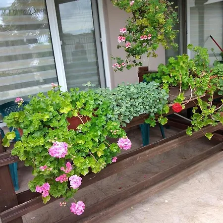 за гости маги Privatunterkunft