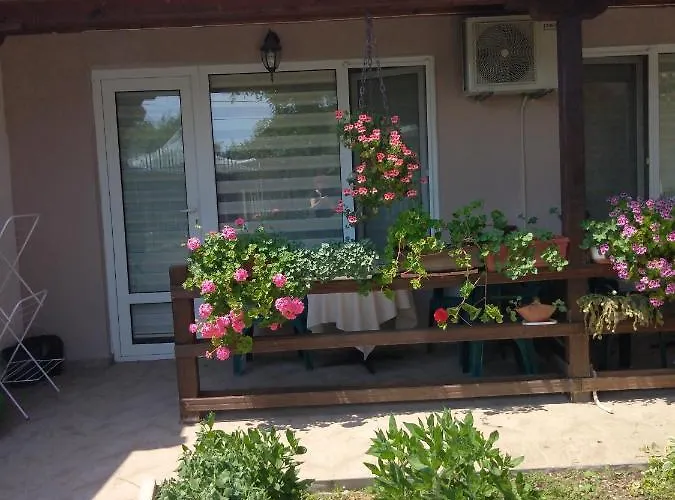 Проживание в семье за гости маги Синеморец