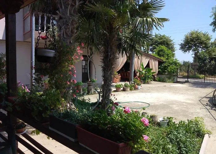 Проживание в семье за гости маги *