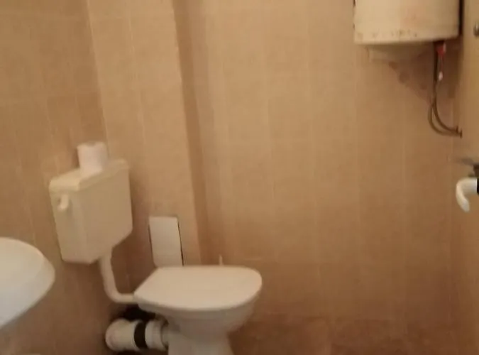 за гости маги *