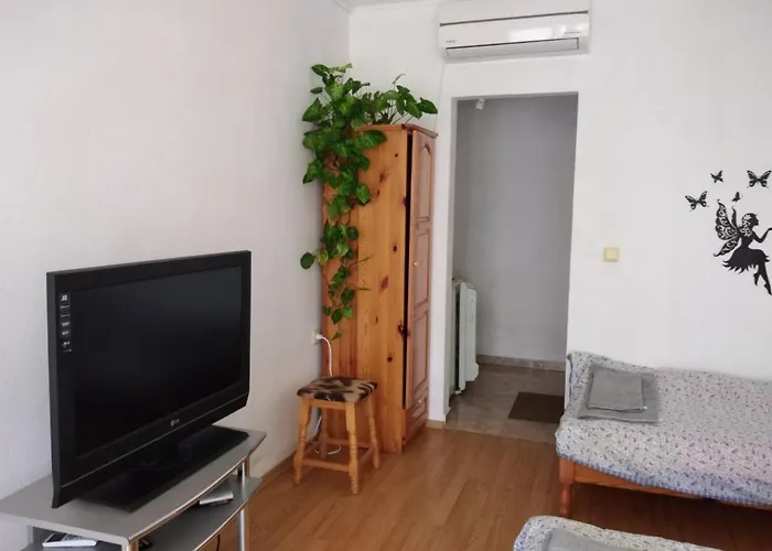 за гости маги * シネモレツ