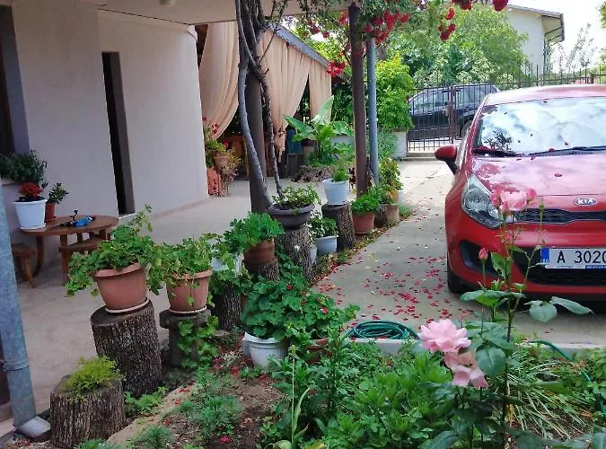 за гости маги Синеморец