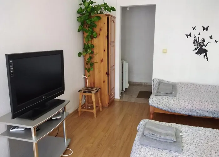 за гости маги * Синеморец