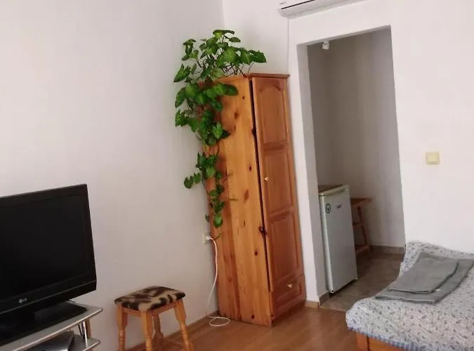 Проживание в семье за гости маги Синеморец