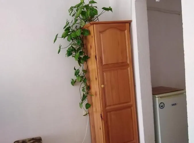 за гости маги Проживание в семье *