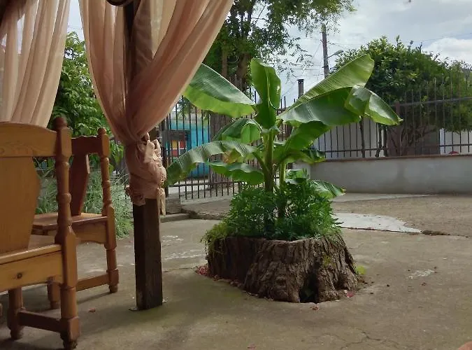 за гости маги Проживание в семье *